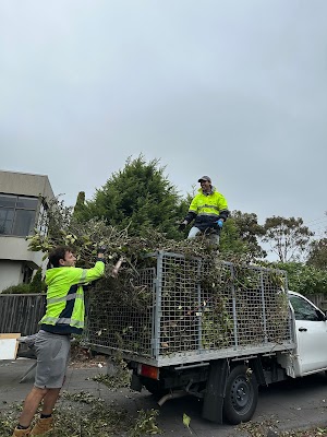 Lawn Link (Division of Augusta) work 3