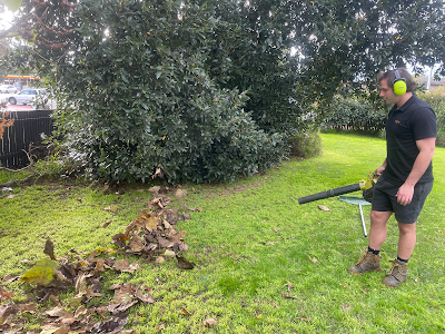 Lawn Link (Division of Augusta) project 5