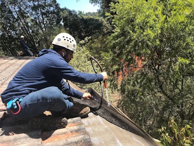 Leafbusters project 4