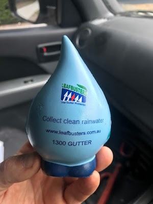 Leafbusters project 6