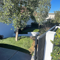 Little Bay Landscapes