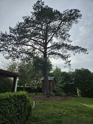 Livingstone Tree Service photo 2