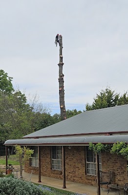 Livingstone Tree Service photo 3