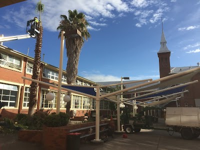 Livingstone Tree Service