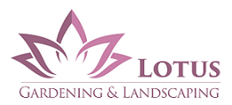 Lotus Garden Maintenance & Landscaping