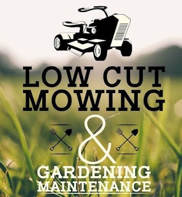Low cut mowing and garden maintenance photo 2