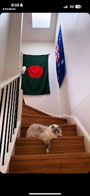 Make Clean Services project 5