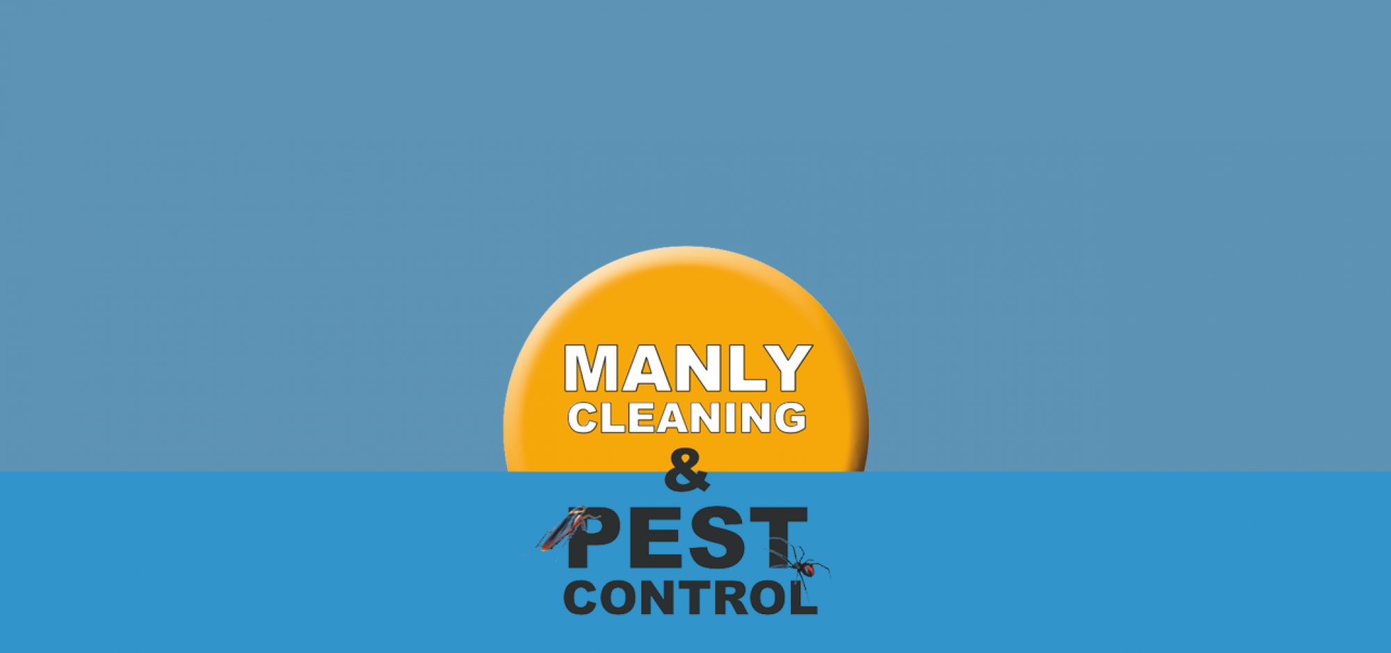 Manly Cleaning