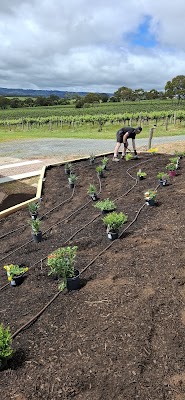 Mark My Garden Sustainable Landscaping & Garden Maintenance work 4