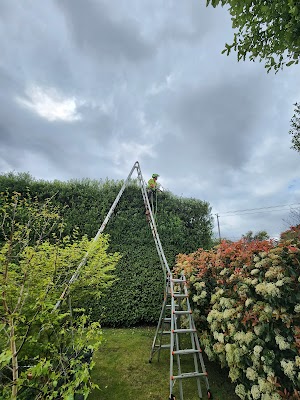 MD Tree Work photo 2