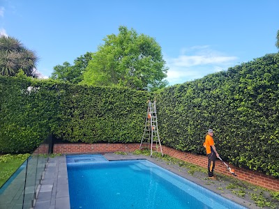 MD Tree Work photo 3