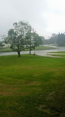 MDA Services Lawns & Garden Care project 4