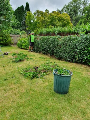 MDA Services Lawns & Garden Care