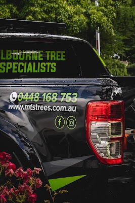 Melbourne Tree Specialists Pty. Ltd. project 4