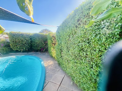 Mid Coast Lawn and Gardening Services photo 3