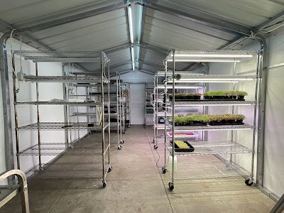 Mightymo Sheds n Carports work 2