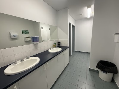 Monkey Cleaning Connections work 2