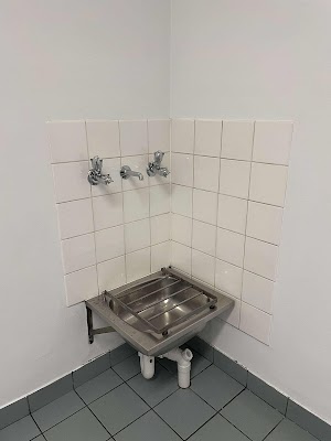 Monkey Cleaning Connections work 4