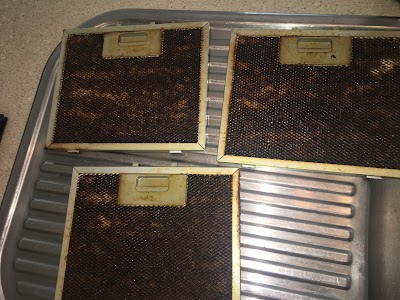 Monkey Cleaning Connections project 6