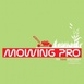 Mowing Pro
