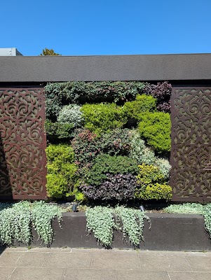 MP Landscapes work 2