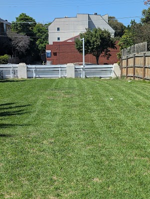 MP Landscapes project 5