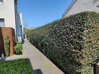 MP Landscapes project 6