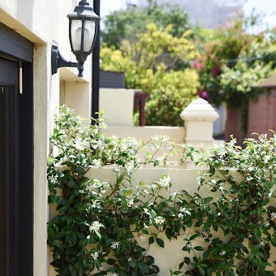 Mr B's Landscaping and Garden Care work 3