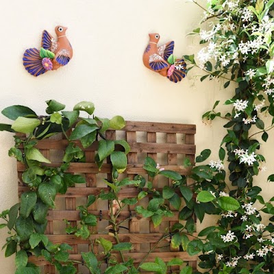 Mr B's Landscaping and Garden Care project 6