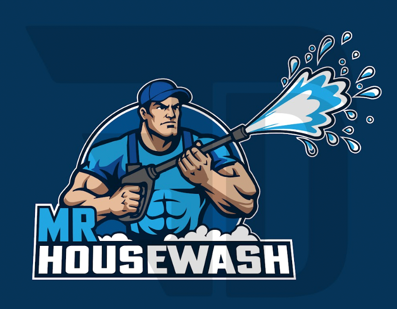 Mr Housewash