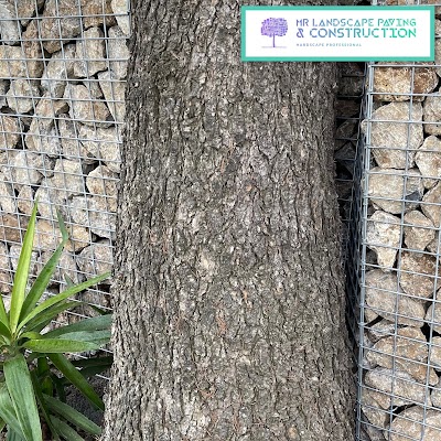 MR Landscape Paving & Construction project 5