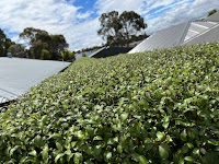 Mr. MOWER Gardens & Lawns