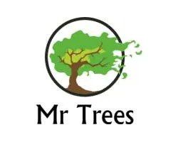 Mr.Trees