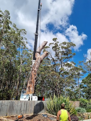 MTS Tree Service photo 2