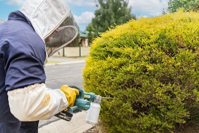 Murray Pest Control - Adelaide work 4