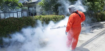 Murray Pest Control - Adelaide project 6