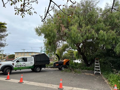 Mystic Tree Services project 4
