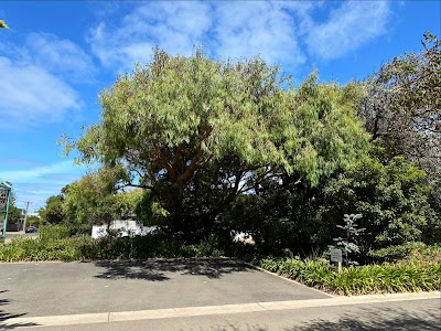 Mystic Tree Services project 5