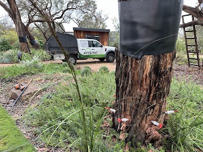 Mystic Tree Services project 6