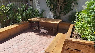 Natural Gardeners project 6