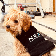 Next Electrical & Data