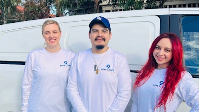 Nine Lives Cleaning work 1