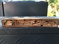 Noah's Ark Pest Control - Termite Treatment and Inspection Services - Maribyrnong