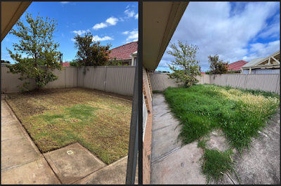 Northern Outdoor Contractors work 2