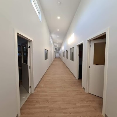 NZ Painting project 5