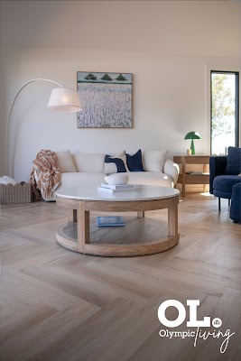 Olympic Industries work 4