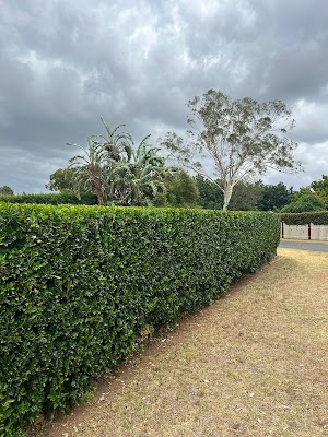 Oran park lawn and gardening services work 4