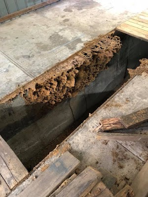 OzPest Adelaide work 2