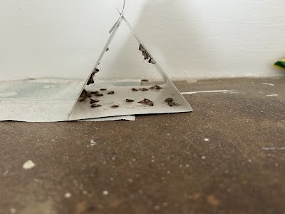 OzPest Adelaide project 5