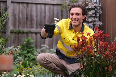 Ozzie Mowing & Gardening work 4